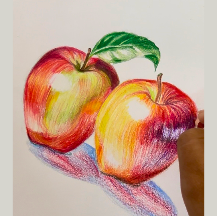 Sketching by Samhitha